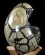 Septarian Dragon Egg Geode - Crystal Filled #37455-4